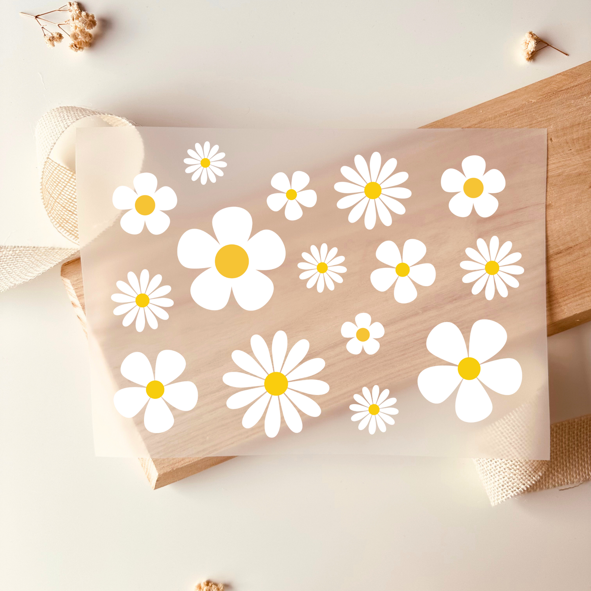Bügelbild-Set mit weißen Margeriten und gelber Mitte in verschiedenen Größen zum Aufbügeln