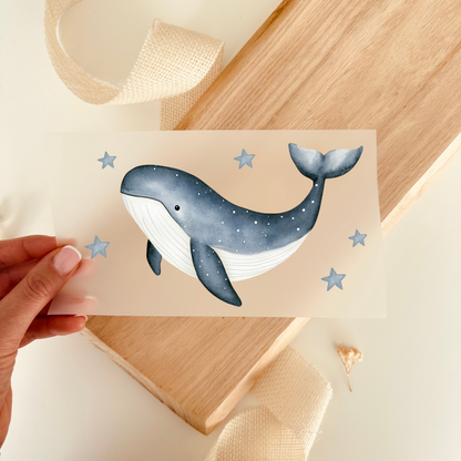 Bügelbild Wal Sterne Aquarell Blau Grau Kinder